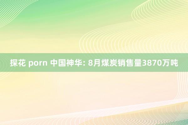 探花 porn 中国神华: 8月煤炭销售量3870万吨