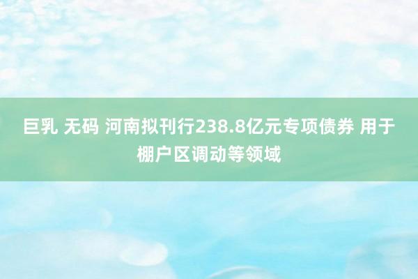 巨乳 无码 河南拟刊行238.8亿元专项债券 用于棚户区调动等领域