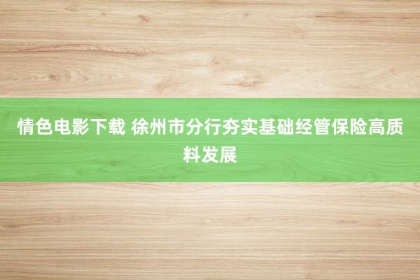 情色电影下载 徐州市分行夯实基础经管保险高质料发展