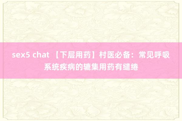 sex5 chat 【下层用药】村医必备：常见呼吸系统疾病的辘集用药有缱绻