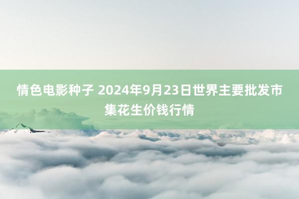 情色电影种子 2024年9月23日世界主要批发市集花生价钱行情