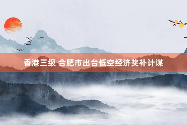 香港三级 合肥市出台低空经济奖补计谋