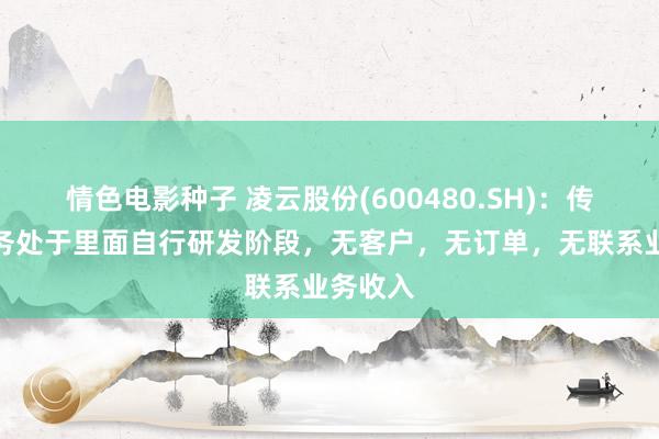 情色电影种子 凌云股份(600480.SH)：传感器业务处于里面自行研发阶段，无客户，无订单，无联系业务收入