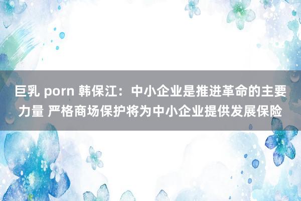 巨乳 porn 韩保江：中小企业是推进革命的主要力量 严格商场保护将为中小企业提供发展保险