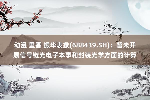 动漫 里番 振华表象(688439.SH)：暂未开展信号链光电子本事和封装光学方面的计算