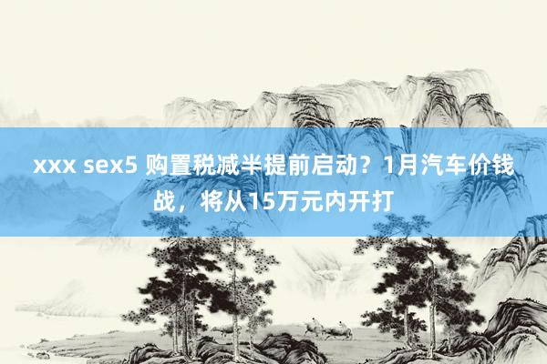 xxx sex5 购置税减半提前启动？1月汽车价钱战，将从15万元内开打