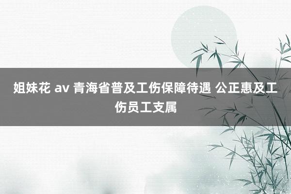 姐妹花 av 青海省普及工伤保障待遇 公正惠及工伤员工支属