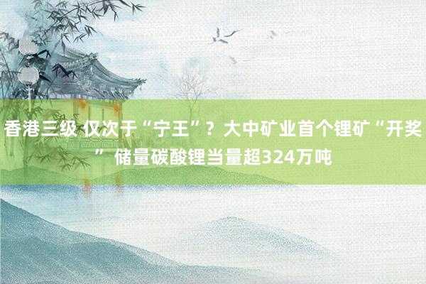 香港三级 仅次于“宁王”？大中矿业首个锂矿“开奖” 储量碳酸锂当量超324万吨