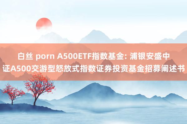 白丝 porn A500ETF指数基金: 浦银安盛中证A500交游型怒放式指数证券投资基金招募阐述书