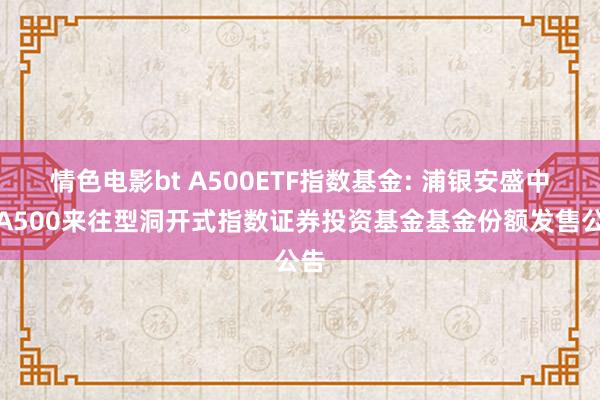 情色电影bt A500ETF指数基金: 浦银安盛中证A500来往型洞开式指数证券投资基金基金份额发售公告