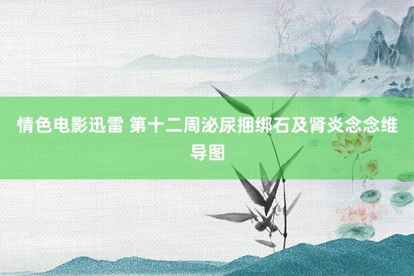 情色电影迅雷 第十二周泌尿捆绑石及肾炎念念维导图