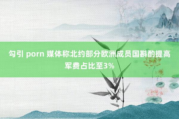 勾引 porn 媒体称北约部分欧洲成员国斟酌提高军费占比至3%