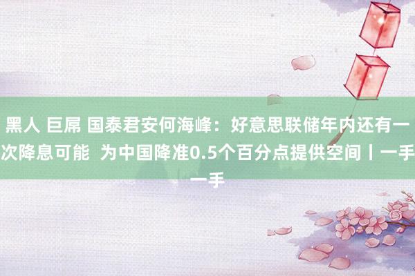 黑人 巨屌 国泰君安何海峰：好意思联储年内还有一次降息可能  为中国降准0.5个百分点提供空间丨一手