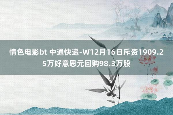 情色电影bt 中通快递-W12月16日斥资1909.25万好意思元回购98.3万股