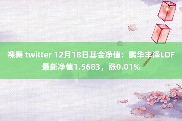 裸舞 twitter 12月18日基金净值：鹏华丰泽LOF最新净值1.5683，涨0.01%