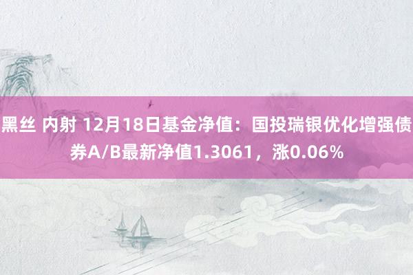黑丝 内射 12月18日基金净值：国投瑞银优化增强债券A/B最新净值1.3061，涨0.06%