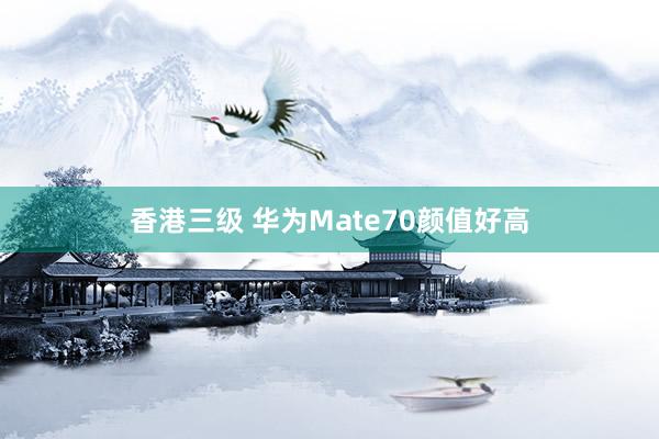香港三级 华为Mate70颜值好高