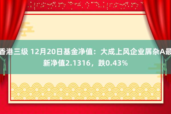 香港三级 12月20日基金净值：大成上风企业羼杂A最新净值2.1316，跌0.43%