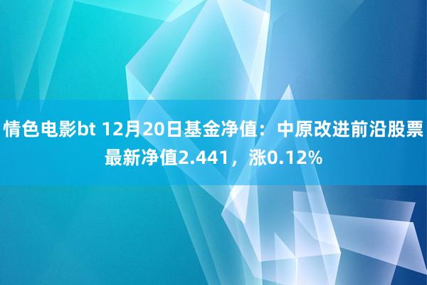情色电影bt 12月20日基金净值：中原改进前沿股票最新净值2.441，涨0.12%