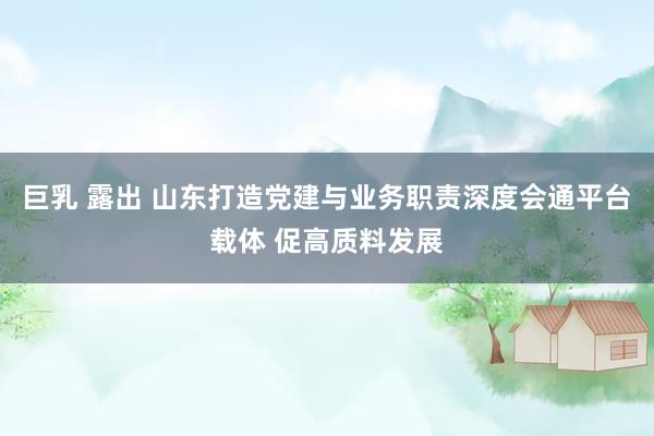 巨乳 露出 山东打造党建与业务职责深度会通平台载体 促高质料发展