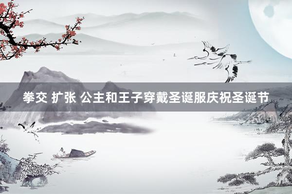 拳交 扩张 公主和王子穿戴圣诞服庆祝圣诞节