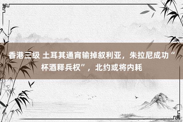 香港三级 土耳其通宵输掉叙利亚，朱拉尼成功“杯酒释兵权”，北约或将内耗