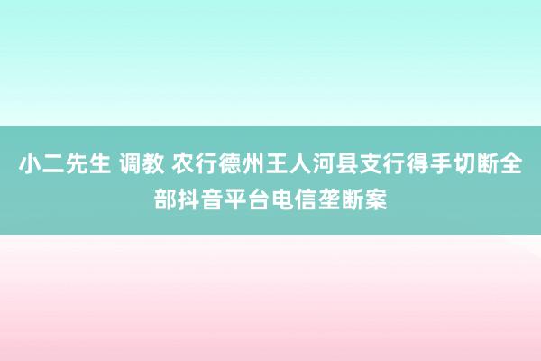 小二先生 调教 农行德州王人河县支行得手切断全部抖音平台电信垄断案