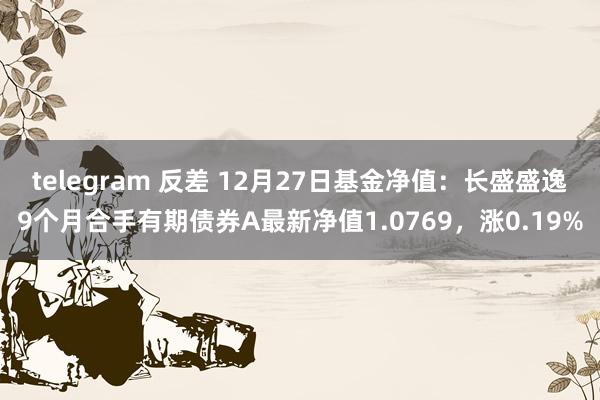 telegram 反差 12月27日基金净值：长盛盛逸9个月合手有期债券A最新净值1.0769，涨0.19%