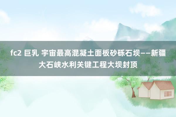 fc2 巨乳 宇宙最高混凝土面板砂砾石坝——新疆大石峡水利关键工程大坝封顶