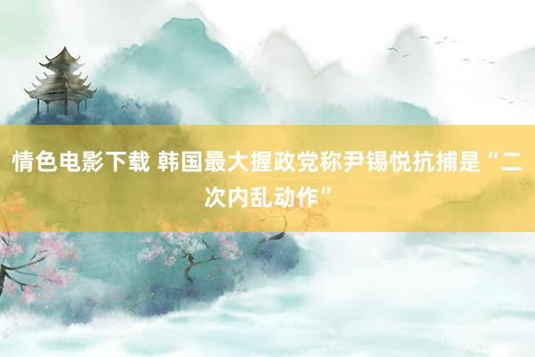 情色电影下载 韩国最大握政党称尹锡悦抗捕是“二次内乱动作”