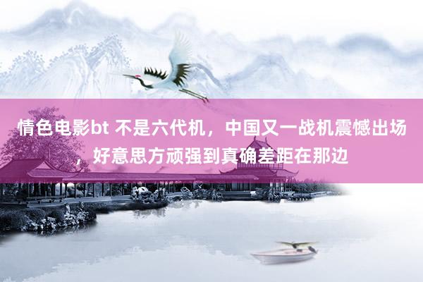 情色电影bt 不是六代机，中国又一战机震憾出场，好意思方顽强到真确差距在那边