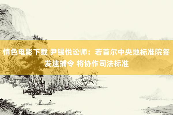 情色电影下载 尹锡悦讼师：若首尔中央地标准院签发逮捕令 将协作司法标准