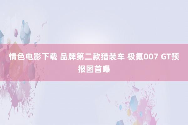 情色电影下载 品牌第二款猎装车 极氪007 GT预报图首曝