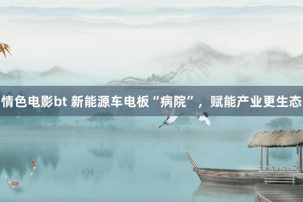 情色电影bt 新能源车电板“病院”，赋能产业更生态