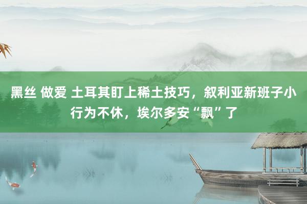 黑丝 做爱 土耳其盯上稀土技巧，叙利亚新班子小行为不休，埃尔多安“飘”了