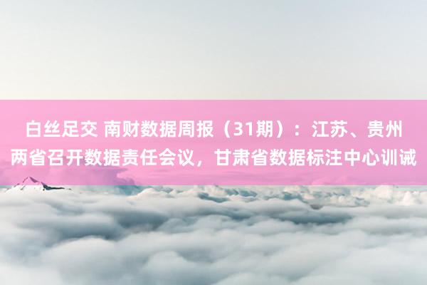 白丝足交 南财数据周报（31期）：江苏、贵州两省召开数据责任会议，甘肃省数据标注中心训诫