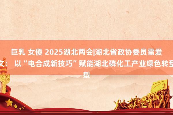 巨乳 女優 2025湖北两会|湖北省政协委员雷爱文： 以“电合成新技巧”赋能湖北磷化工产业绿色转型