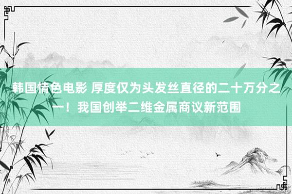 韩国情色电影 厚度仅为头发丝直径的二十万分之一！我国创举二维金属商议新范围