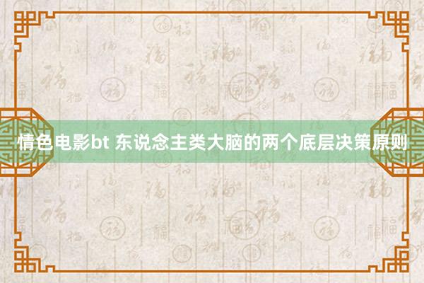 情色电影bt 东说念主类大脑的两个底层决策原则