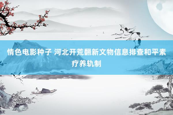 情色电影种子 河北开荒翻新文物信息排查和平素疗养轨制