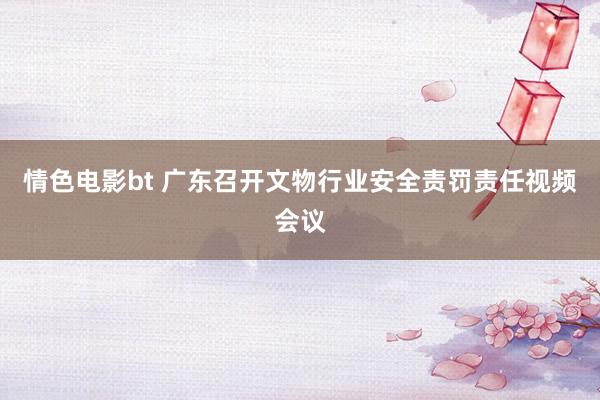 情色电影bt 广东召开文物行业安全责罚责任视频会议