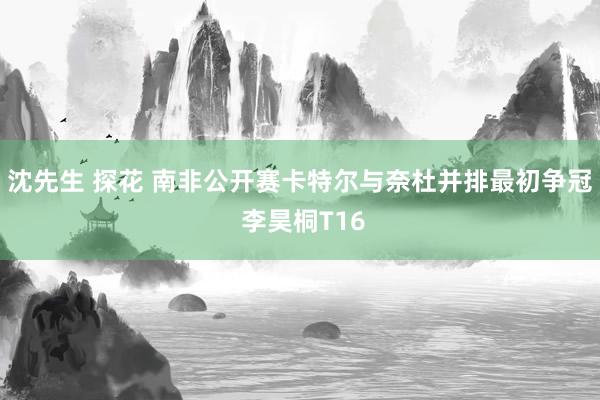 沈先生 探花 南非公开赛卡特尔与奈杜并排最初争冠 李昊桐T16