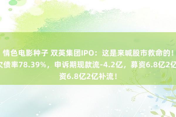 情色电影种子 双英集团IPO：这是来喊股市救命的！财富欠债率78.39%，申诉期现款流-4.2亿，募资6.8亿2亿补流！