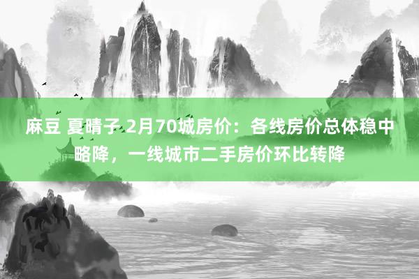 麻豆 夏晴子 2月70城房价：各线房价总体稳中略降，一线城市二手房价环比转降