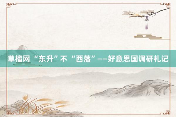 草榴网 “东升”不 “西落”——好意思国调研札记