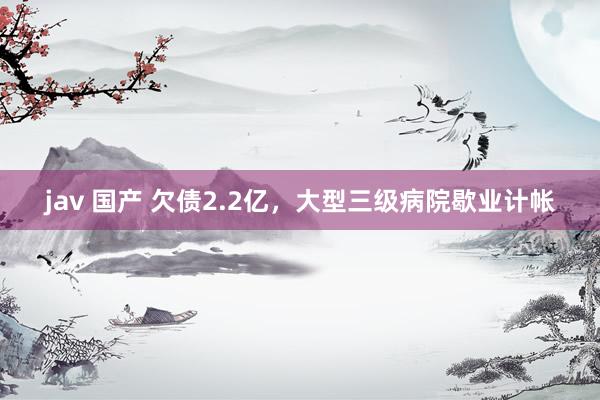 jav 国产 欠债2.2亿，大型三级病院歇业计帐