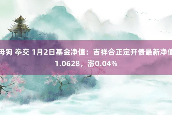 母狗 拳交 1月2日基金净值：吉祥合正定开债最新净值1.0628，涨0.04%