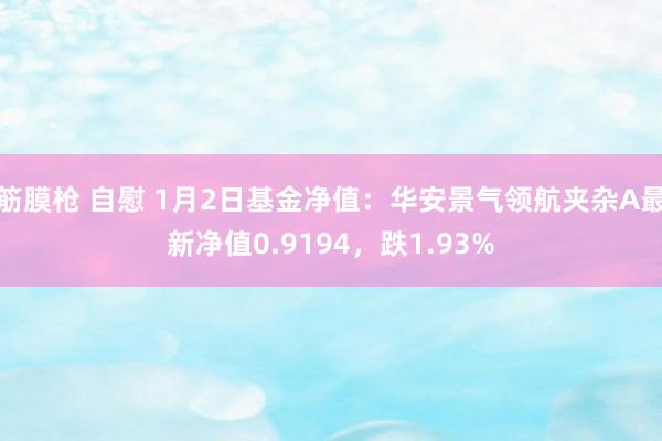 筋膜枪 自慰 1月2日基金净值：华安景气领航夹杂A最新净值0.9194，跌1.93%
