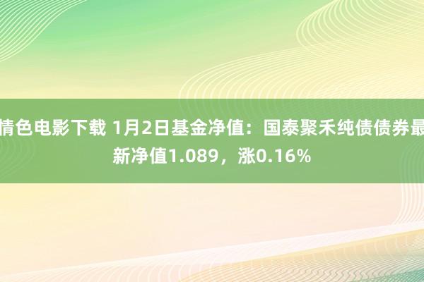 情色电影下载 1月2日基金净值：国泰聚禾纯债债券最新净值1.089，涨0.16%