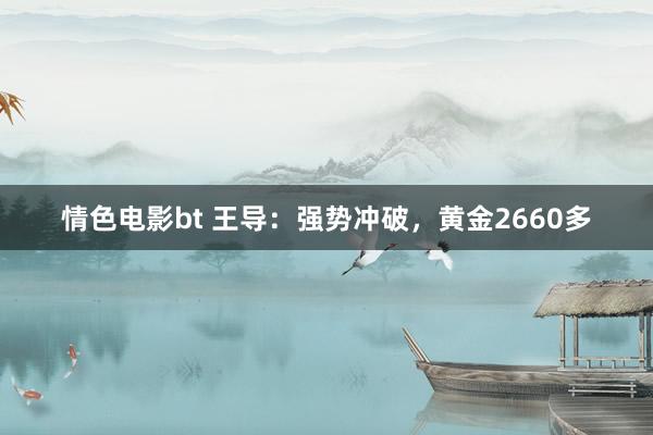 情色电影bt 王导：强势冲破，黄金2660多